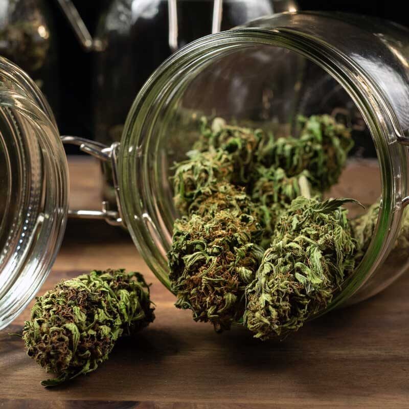 | Massachusetts Green Retail cannabis dispensary flower