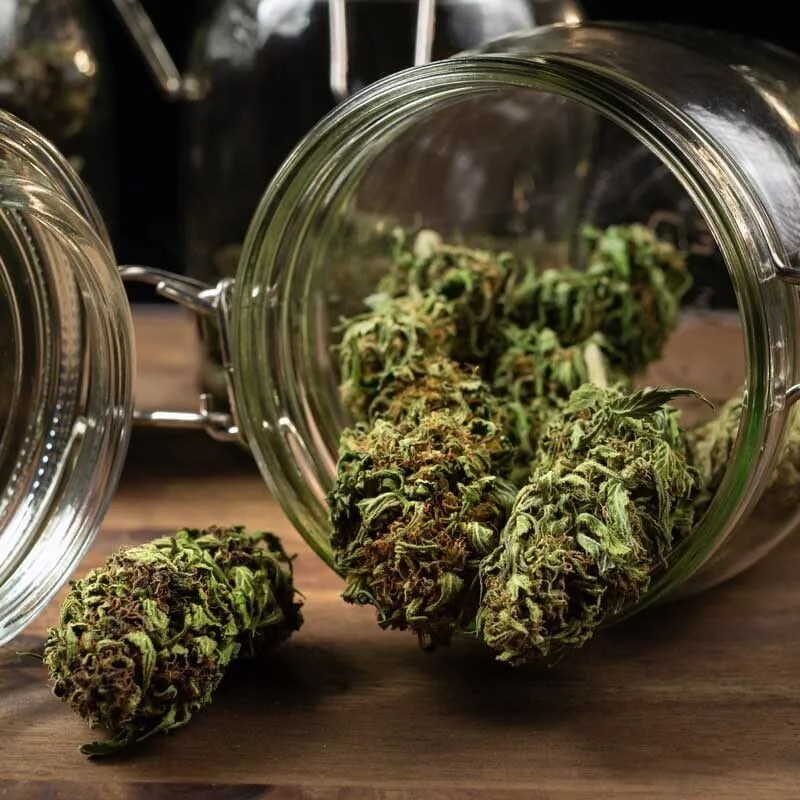 cannabis dispensary flower