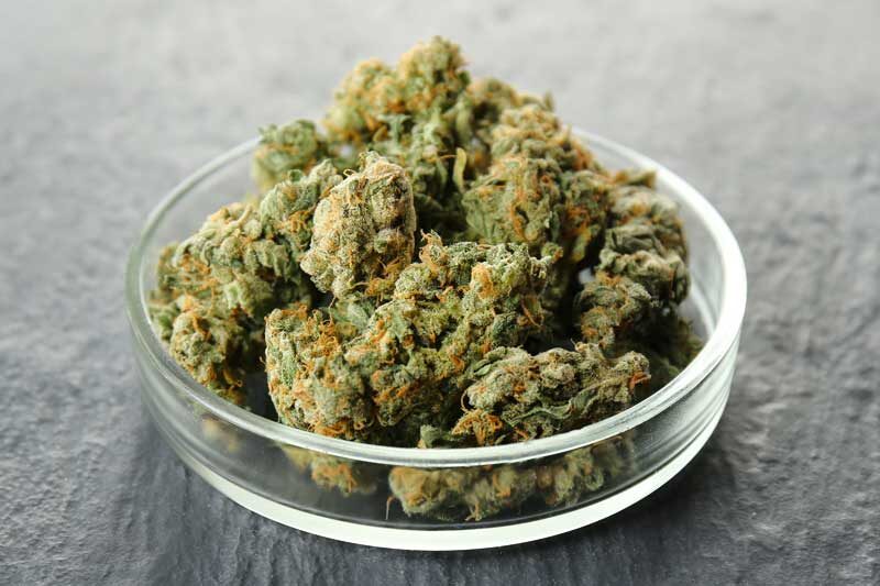 | Massachusetts Green Retail recreational cannabis dispensary east boston ma