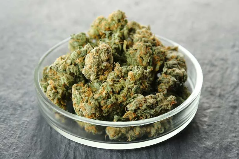 elfbar nachfüll pod läuft aus Recreational Cannabis Dispensary Near Wakefield, MA